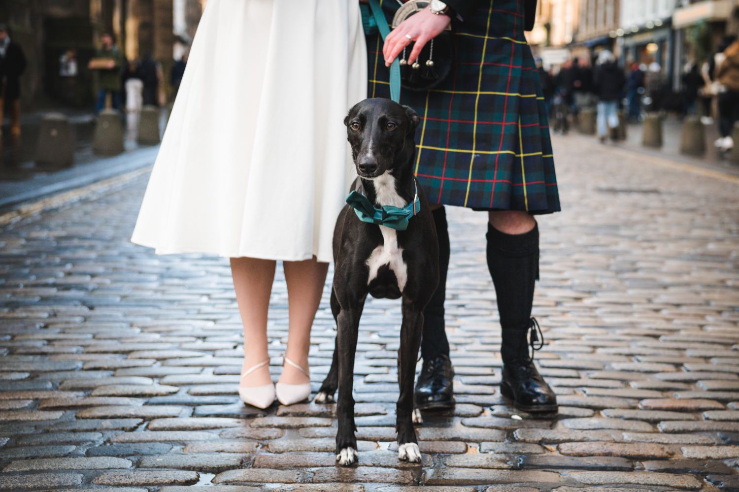 wedding couple with dog royal mile edinburgh